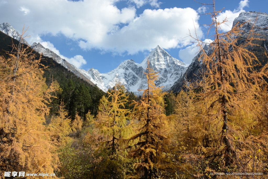 玉龙雪山