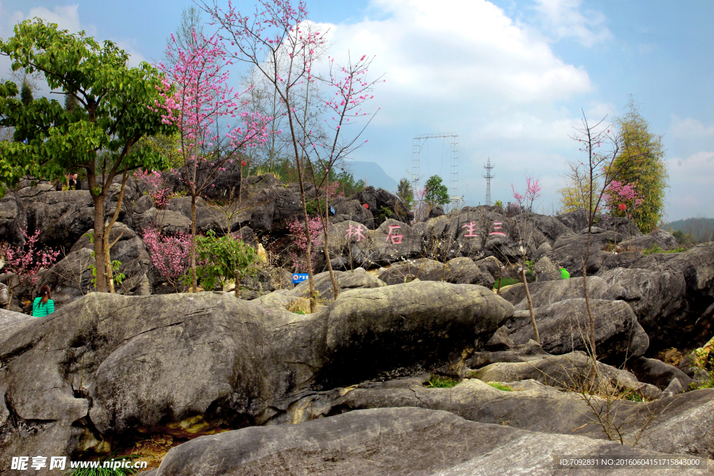 石林风景