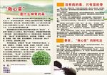 救心菜宣传单