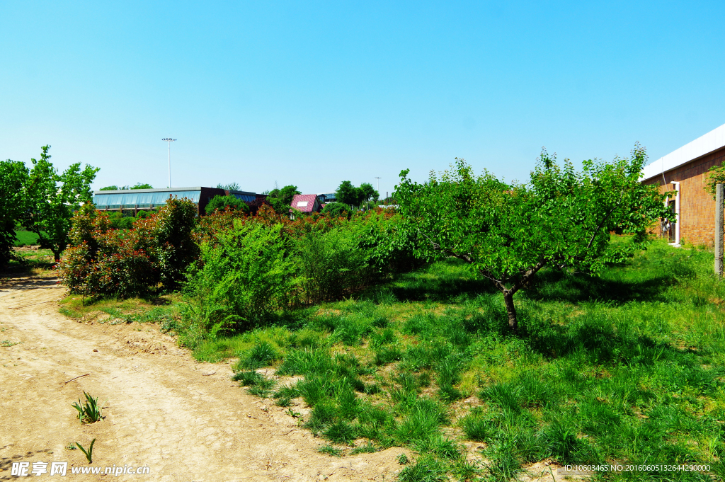 怀德公园 旅游基地