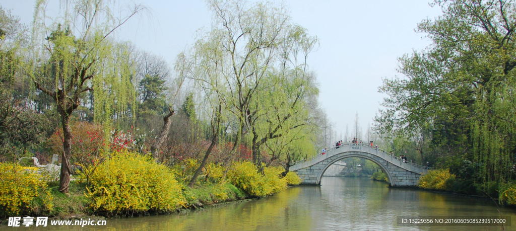 绿树背景图