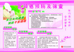 宫颈癌预防及筛查