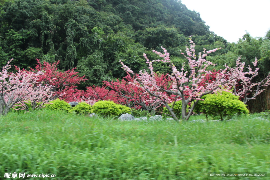 桂林