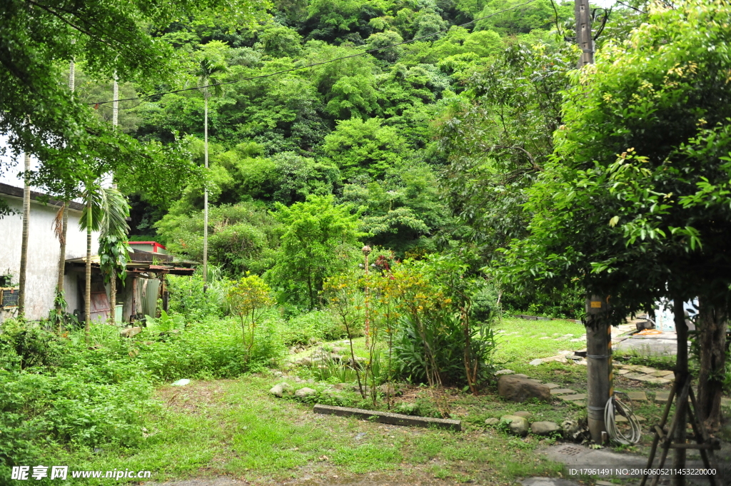 阿里山