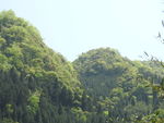 龙苍沟