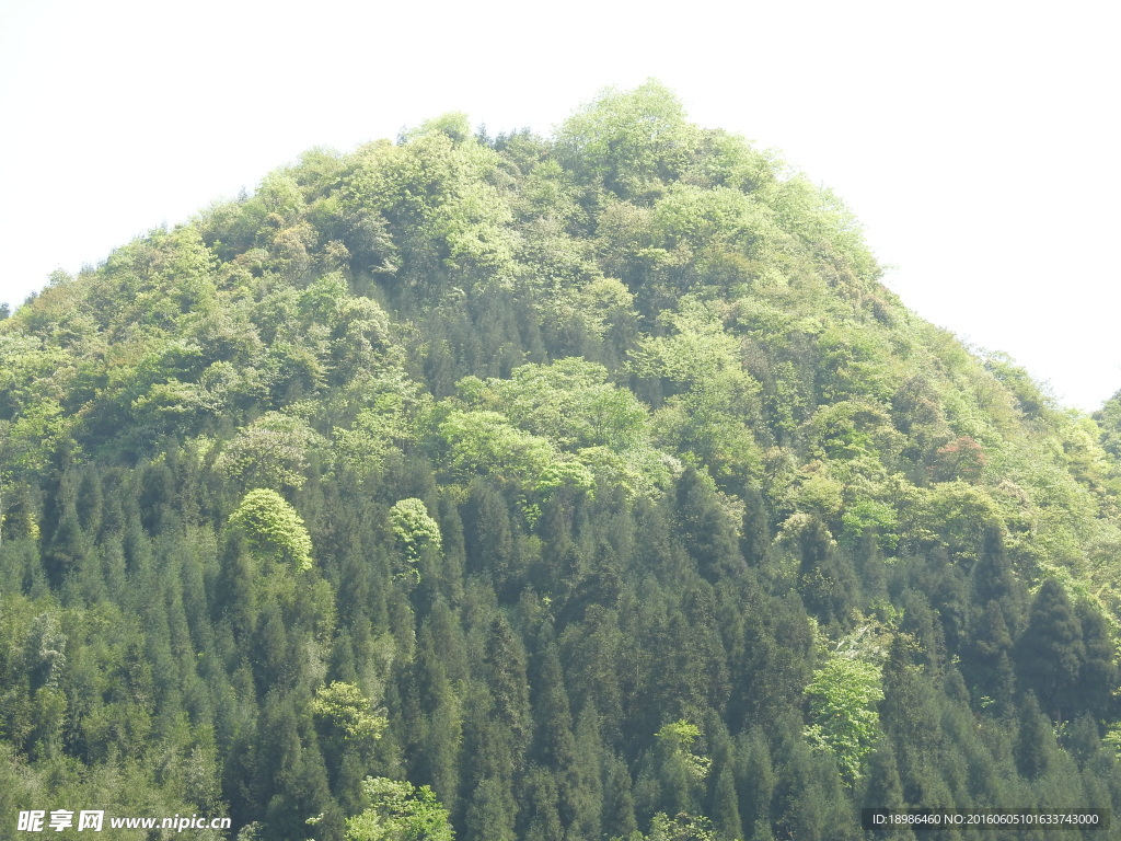 山峰