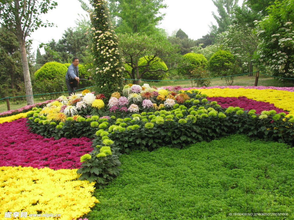 花坛