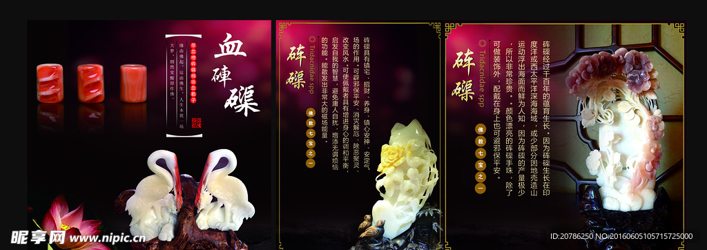 砗磲
