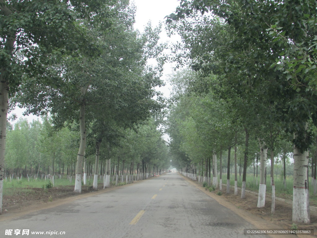 路