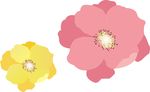 鲜花
