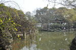 同里 江南 水乡