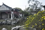 同里 江南 水乡