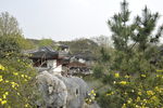 同里 江南 水乡