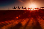 沙漠黄昏骆驼队剪影