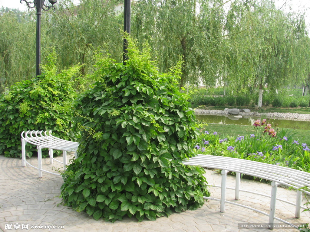园林美景