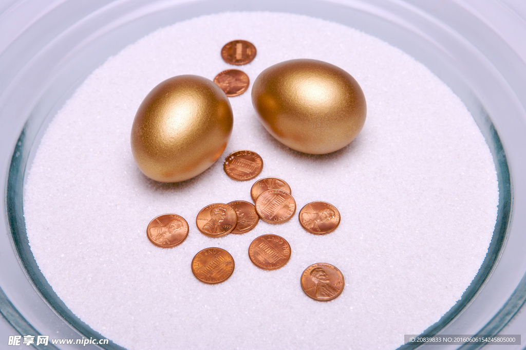 金蛋 金币