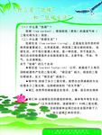 荷花版底宣传栏