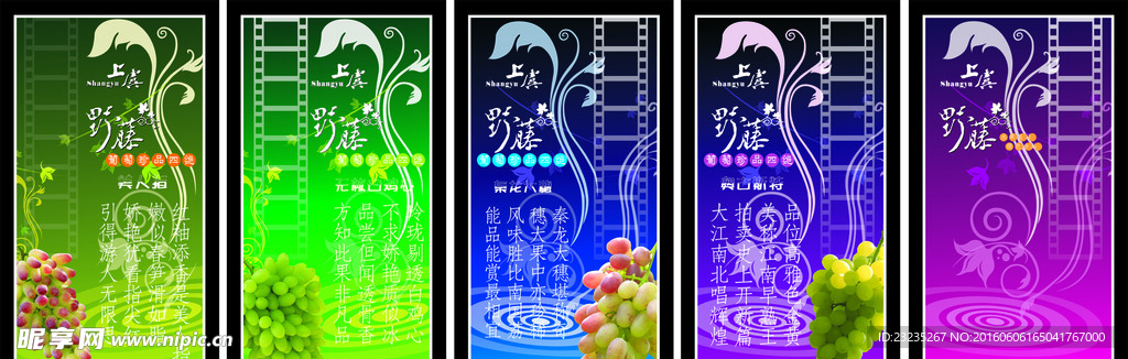 葡萄 花纹宣传