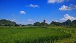 田园风光