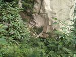华山风光