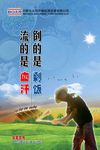 节约粮食