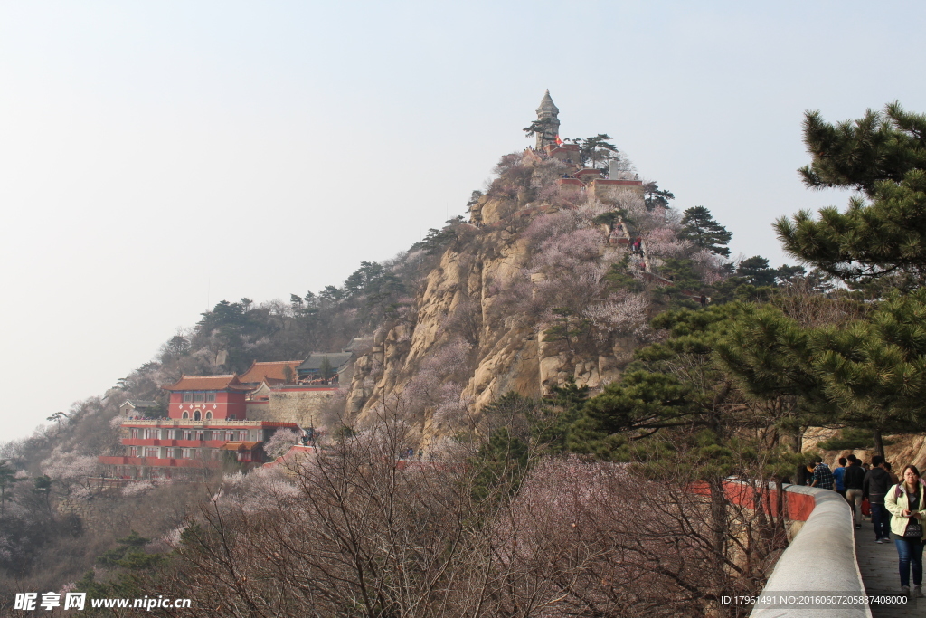 盘山