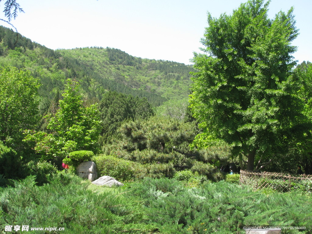 植物园美景