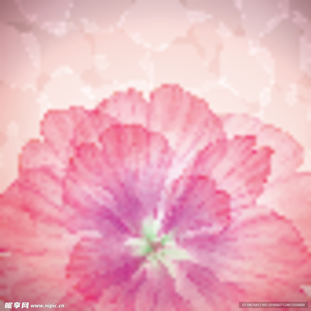 花纹