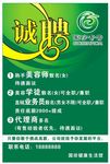 国珍生活馆招聘
