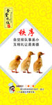 食堂标语秩序