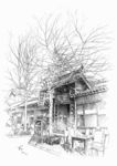 宽窄巷子建筑钢笔画