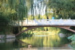 紫竹院拱桥