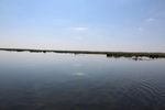 千鹤岛湿地