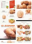 纸皮核桃介绍首页