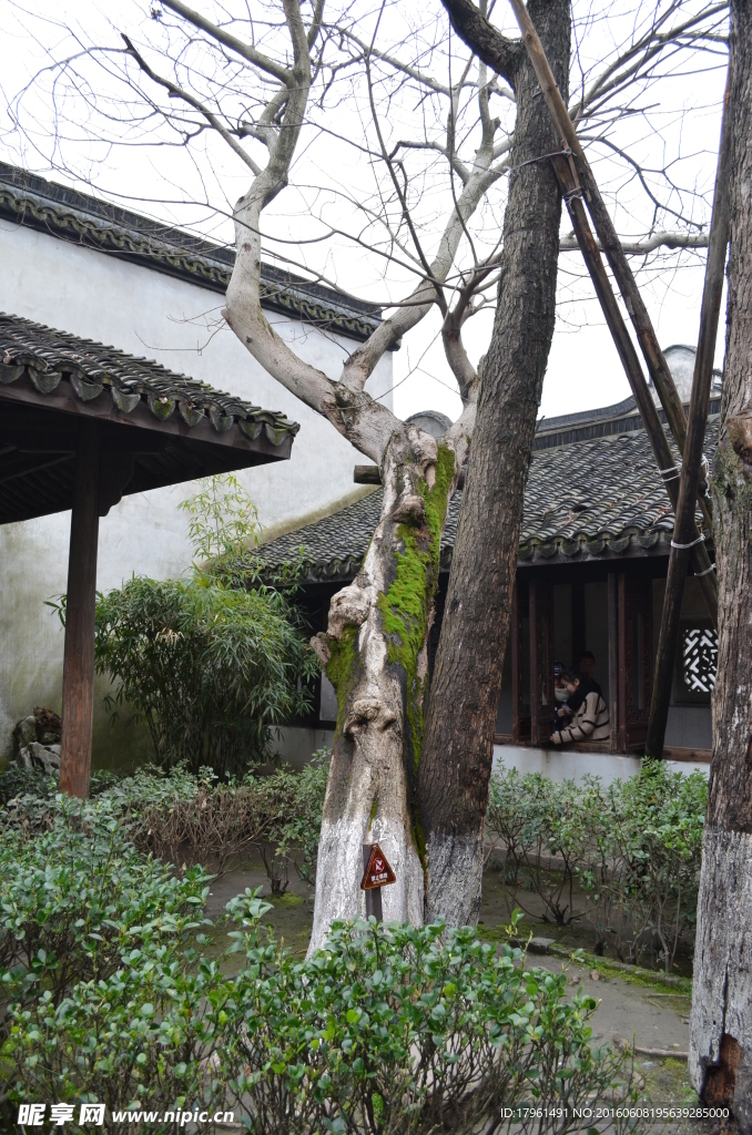 乌镇东栅