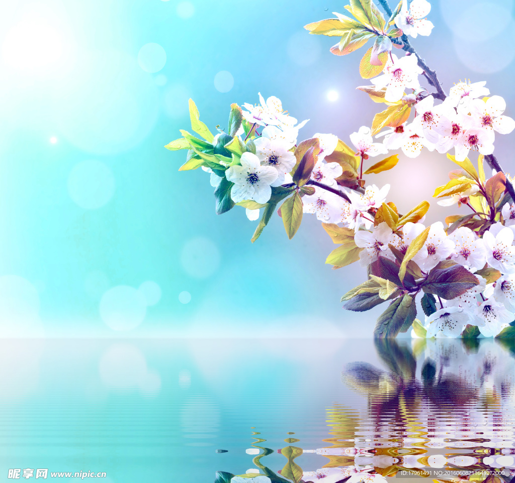 桃花