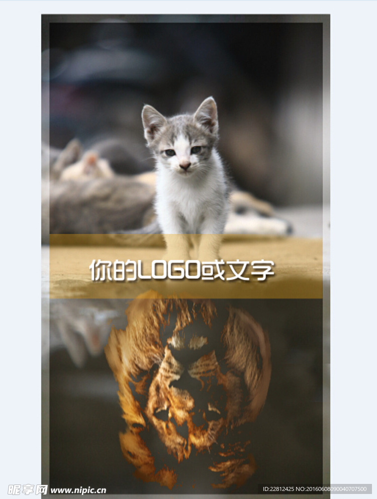 猫励志