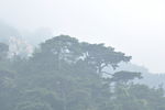 五岳之尊 泰山