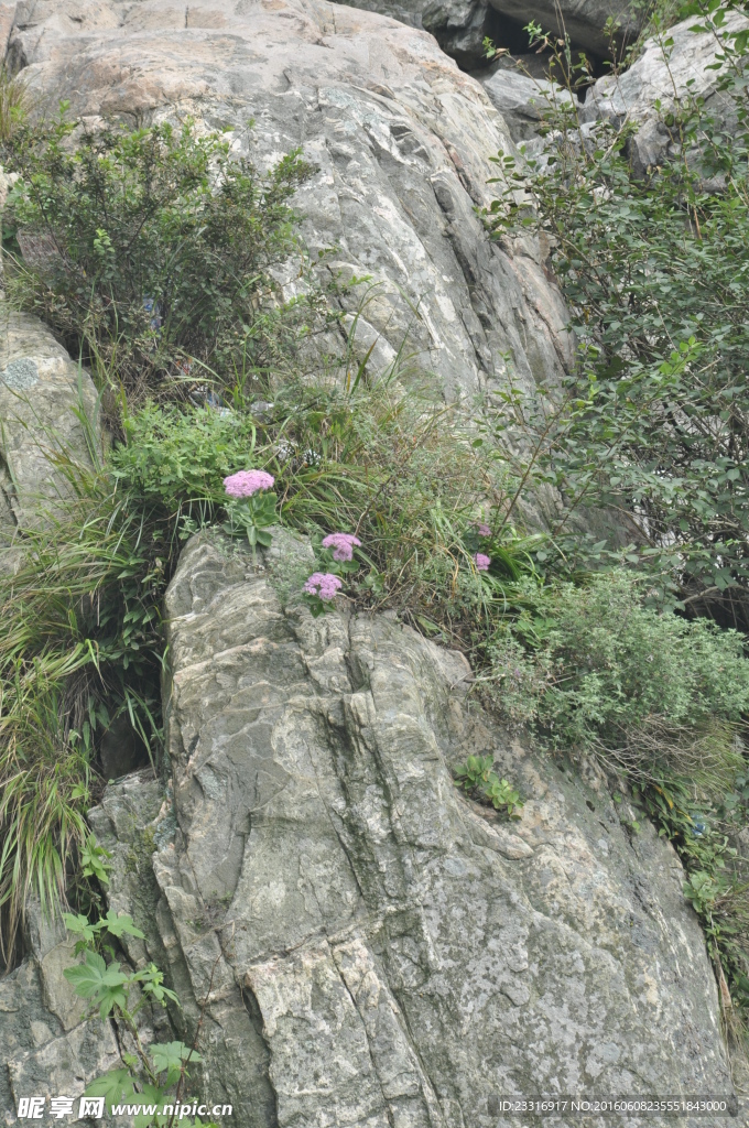 五岳之尊 泰山 石