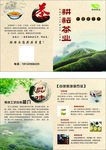 茶折页图片