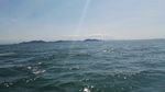 海水