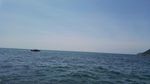 大海