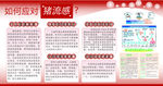 板报 流感