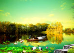 秋色湖景