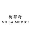梅蒂奇logo