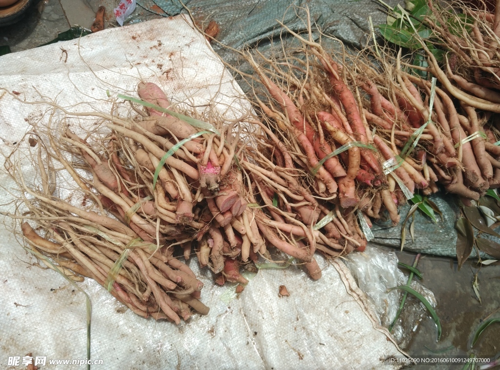煮汤药根