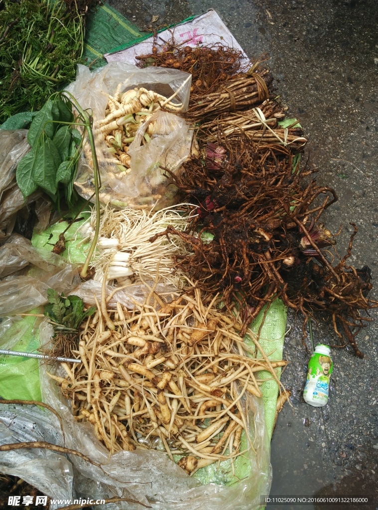 煮汤药根