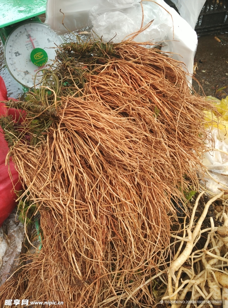 煮汤药根