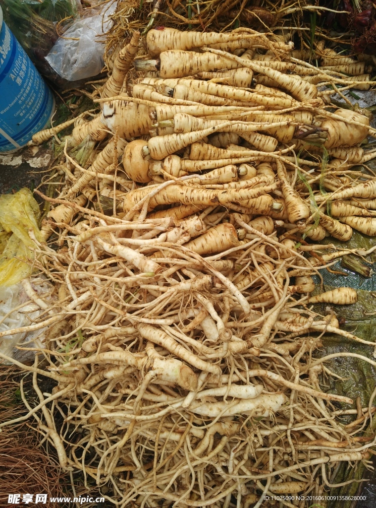 煮汤药根