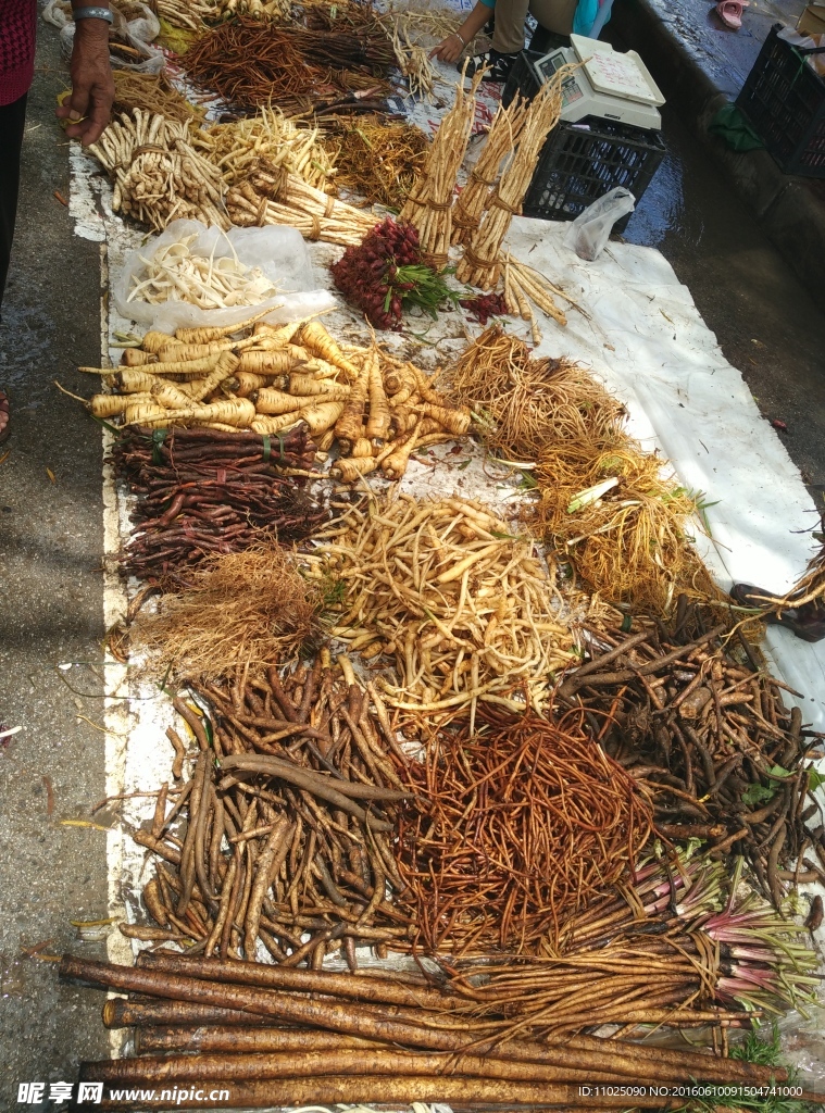 煮汤药根